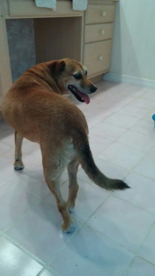 20150628_181944_resized (1)