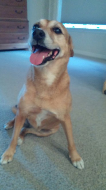 20150629_071745_resized