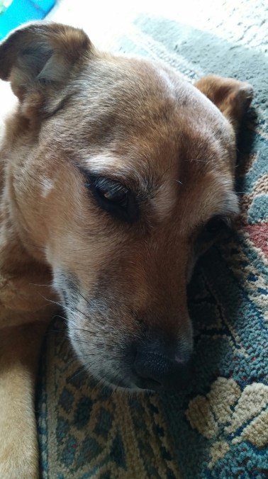 20150629_114840_resized