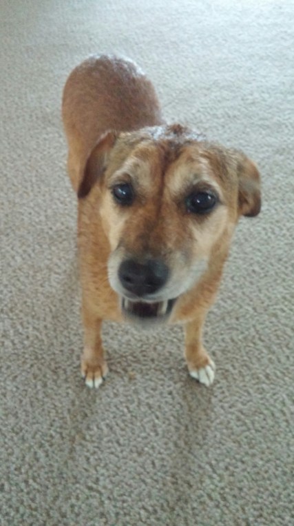 20150630_122147_resized