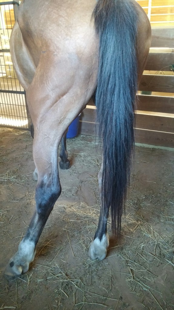 20150630_190640_resized