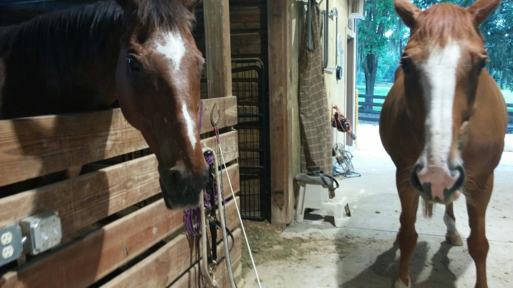 20150705_165934_resized