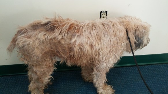 The saddest picture of Molly, but not true anymore.