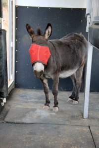 See, I can do this myself.