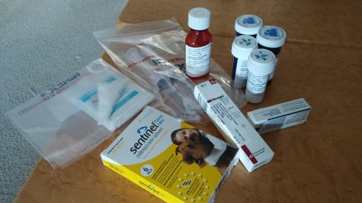 I told you we're not kidding about this.