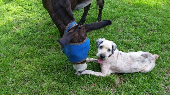 The feelings appear to be mutual.