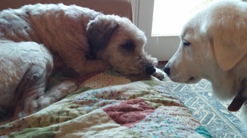 Are you afraid of the storm, Molly?