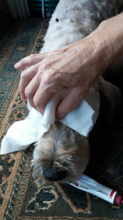 Eye medicine massages.