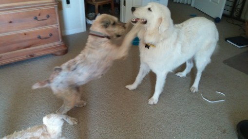 Taking on the Titans