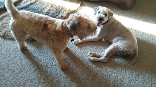 First someone your own size.