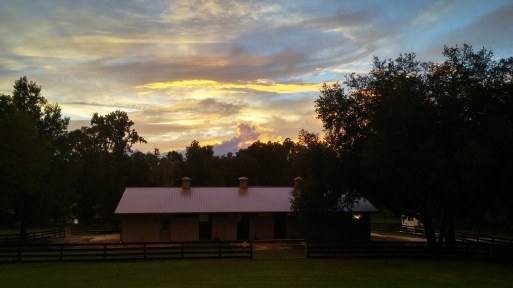 Good night, sweet babies.