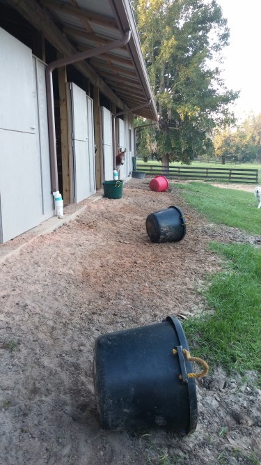 This is what help looks like