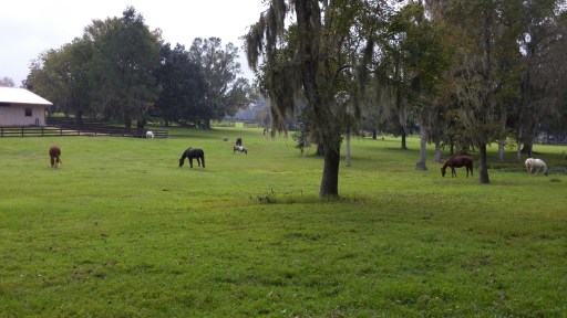 Everyone altogether.