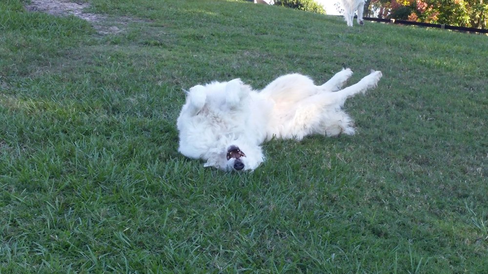 Really, Mom, come over here and don't step on me, Arooh, arooh!