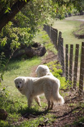 Not really sure you know what you are talking about, Mom.
