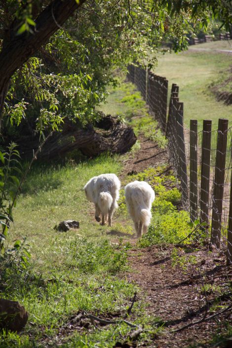 Okay, Show's Over. Going Home.