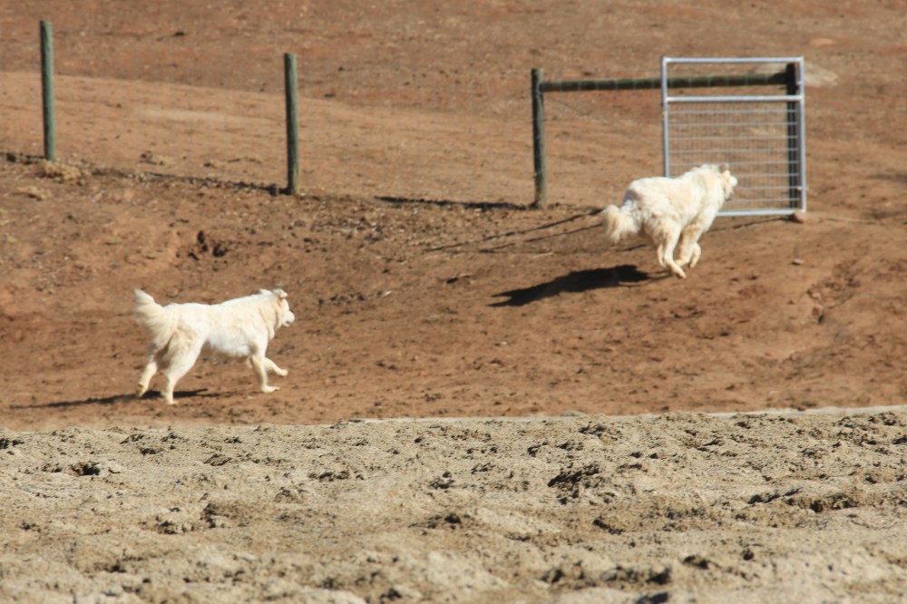 Marco Sophie Up the Hill