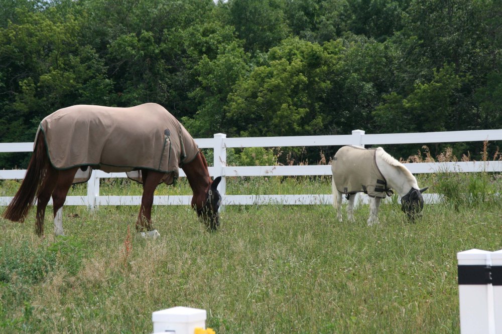 Legs and Boo first day