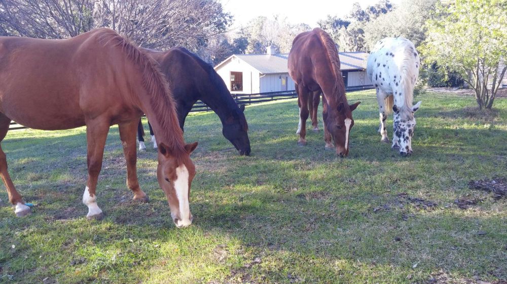 edited_20160124_161914