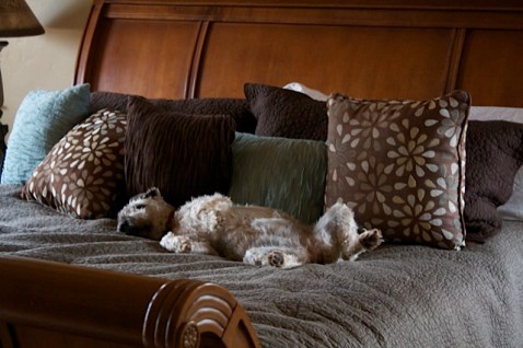 Gus Grace Evelyn (59)