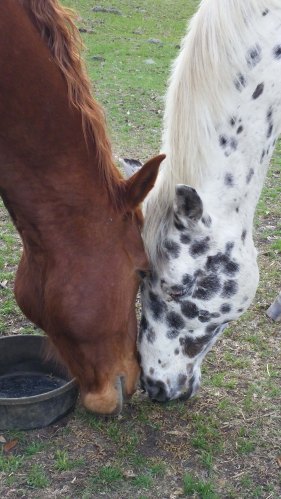 Legs and Loosa Eating