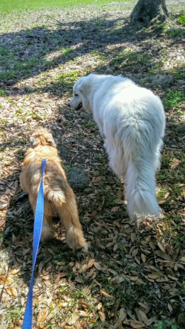 20160401_113652~2-1200x2133