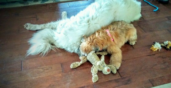 20160401_150644~2-1600x828