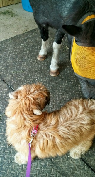 20160401_170836~2-1200x2226