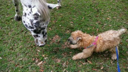 20160402_112048~2-1600x900