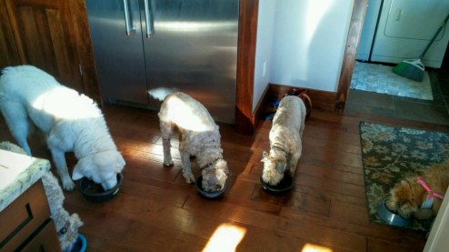 20160403_091120~2-1600x900