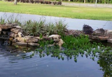 20160428_174543_crop_525x354