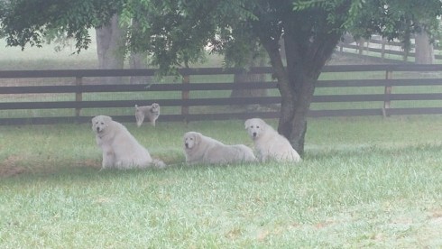 20160429_082850-1600x900