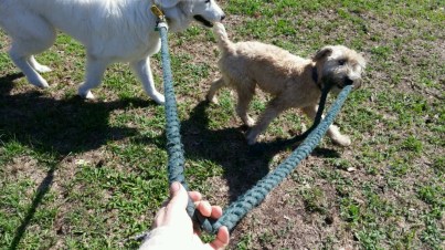 20160505_163704-1600x900