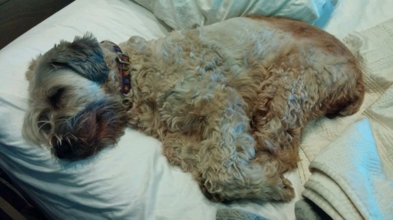 20160506_101557-1600x900