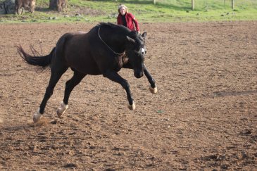 Beamer1-edited - Copy