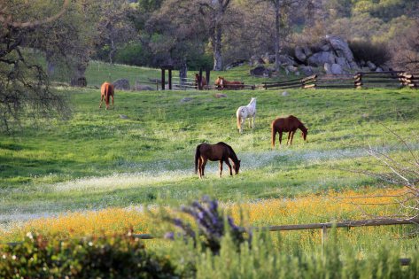 View from the Front Porch