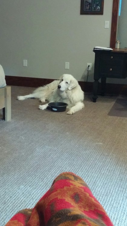 20160809_191335-1200x2133