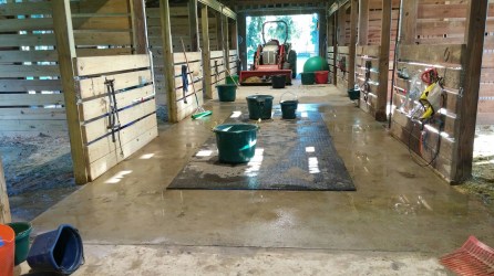 20160812_082408-1600x900