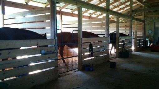 20160929_165240-1600x900