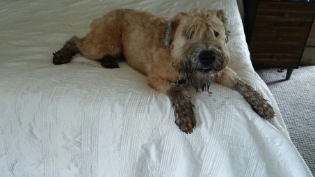 20160926_102114-1600x900