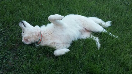 20161010_183010-1600x900