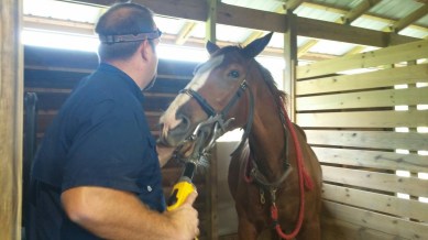 20161011_102236-1600x900