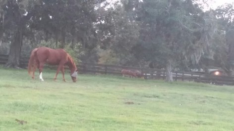 20161011_183643-1600x900