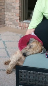 20161108_170204-1200x2133