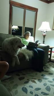 20161108_200112-1200x2133