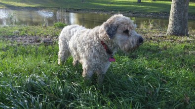 20170306_172633-1600x900