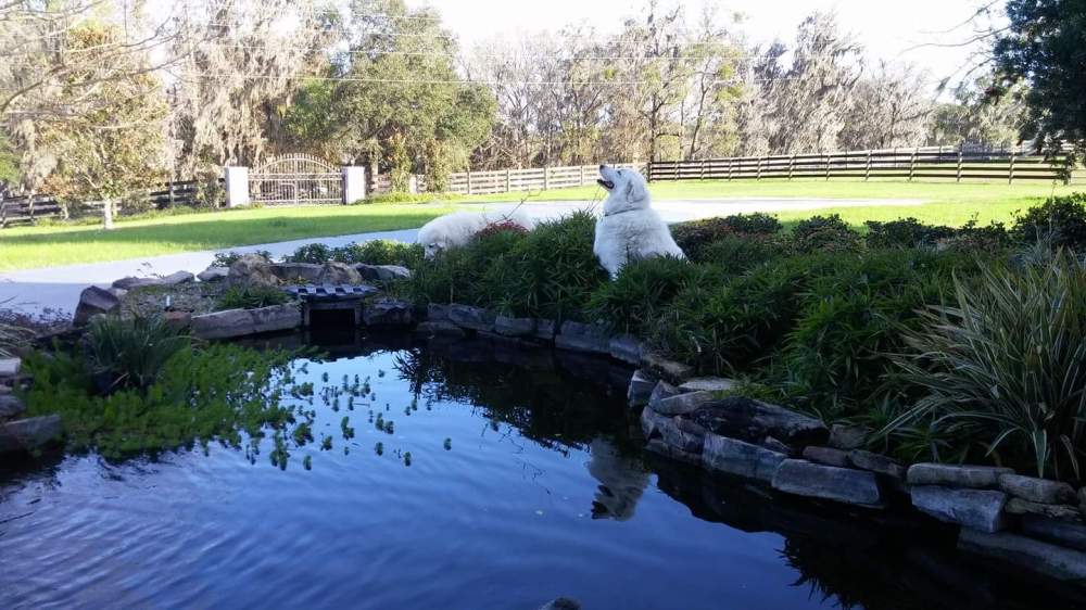 .facebook_1487090471194