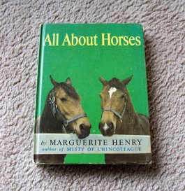 All about Horses