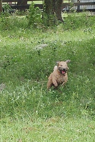 20170911_110025_HDR(1)_crop_597x885