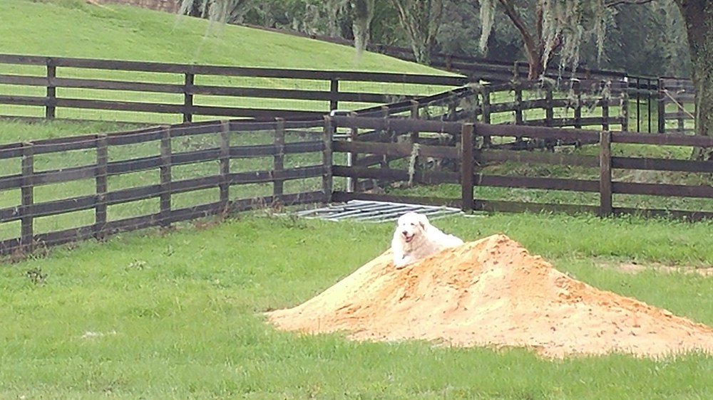 20170911_112420_HDR-2656x1494